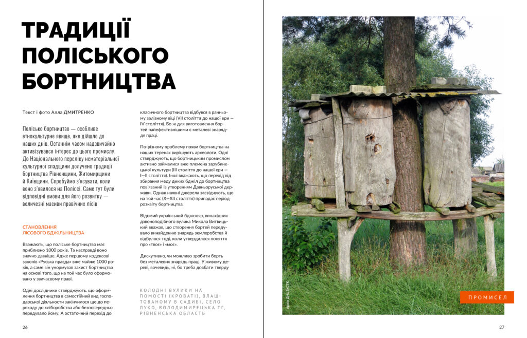 Полісся #5 (2025)